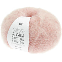 002 - Apricot
