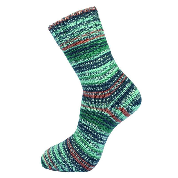 Fortissima Color 6-fach Winter Zig Zag