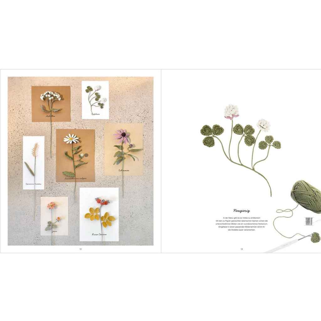 Rico Design Pattern Häkelbuch Ricorumi In the Meadow - Rico Design (Heft) Lieblingsgarn