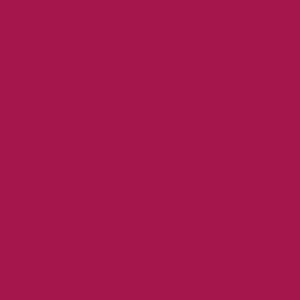 Jacquard Acid Dye Farben 14g