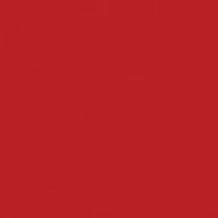 Jacquard Acid Dye Farben 14g 616 - Russet Lieblingsgarn