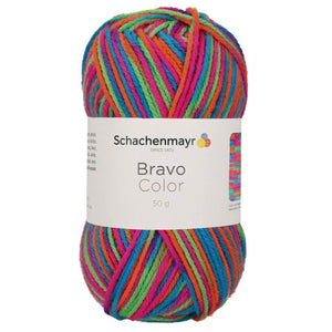 Schachenmayr Bravo Originals Color