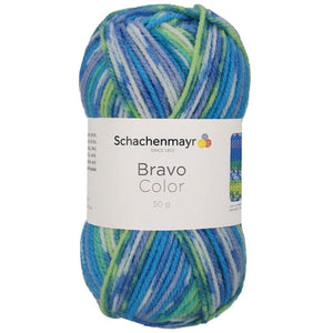 Schachenmayr Bravo Originals Color