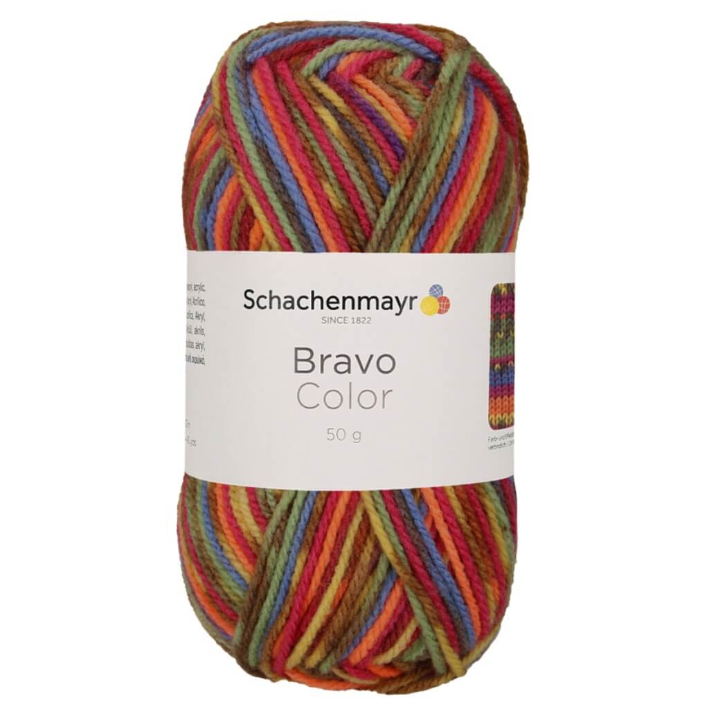 Schachenmayr Bravo Originals Color 2085 - Rainbow Jacquard Lieblingsgarn