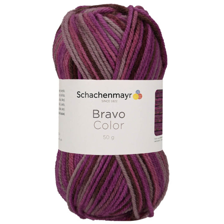 Schachenmayr Bravo Originals Color 2088 - Beere Color Lieblingsgarn