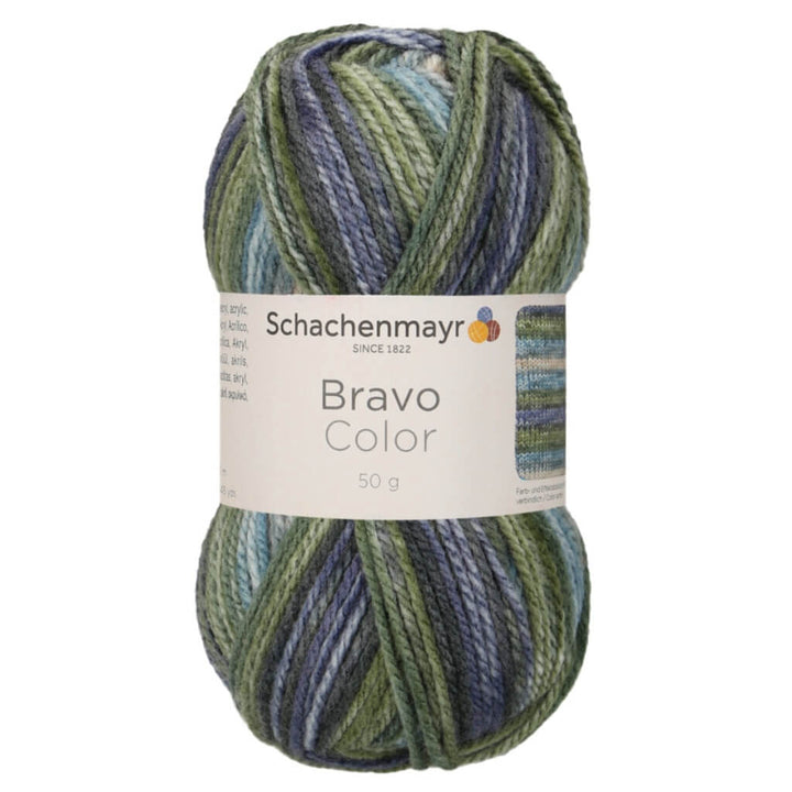 Schachenmayr Bravo Originals Color 2122 - Moor Color Lieblingsgarn