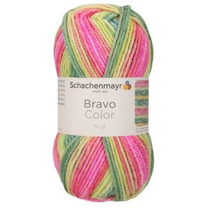 Schachenmayr Bravo Originals Color