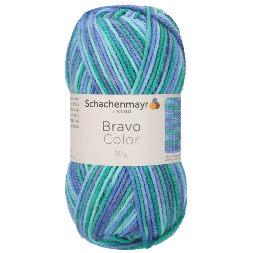 Schachenmayr 2134 - Lagune Color Schachenmayr Bravo Originals Color Lieblingsgarn