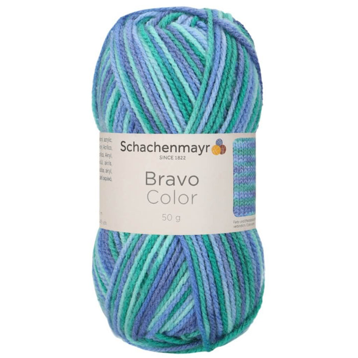 Schachenmayr 2134 - Lagune Color Schachenmayr Bravo Originals Color Lieblingsgarn