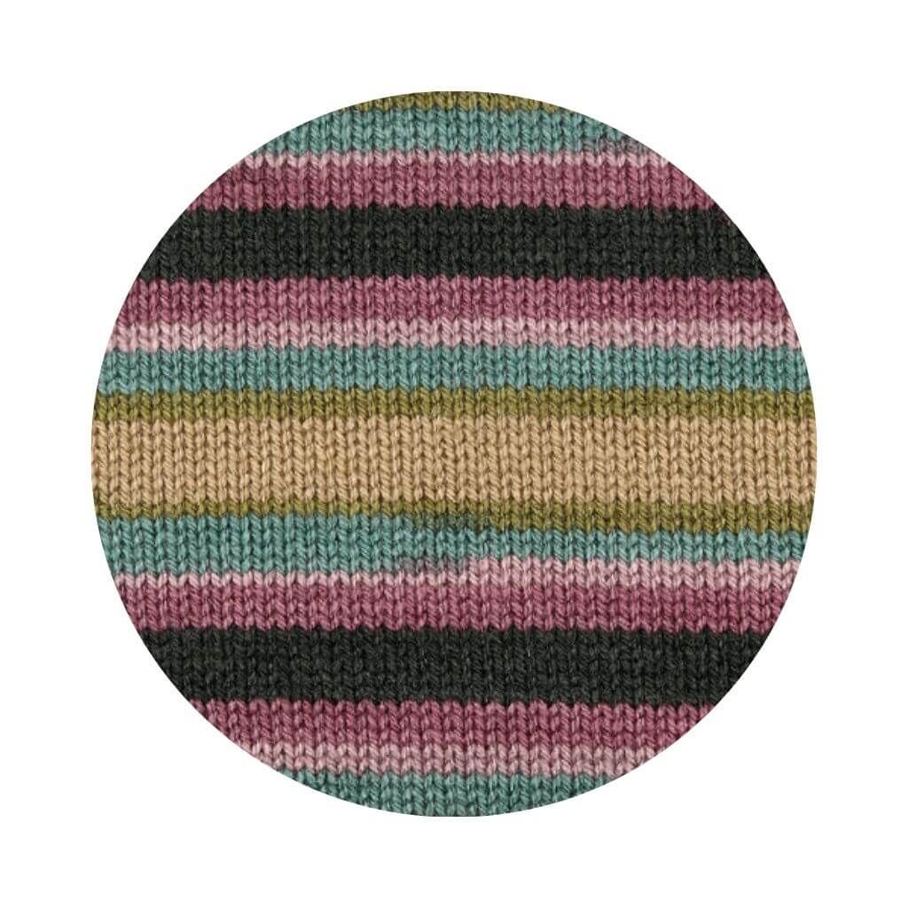 Schachenmayr 2145 - Juno Color Schachenmayr Bravo Originals Color Lieblingsgarn