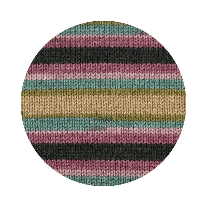 Schachenmayr 2145 - Juno Color Schachenmayr Bravo Originals Color Lieblingsgarn
