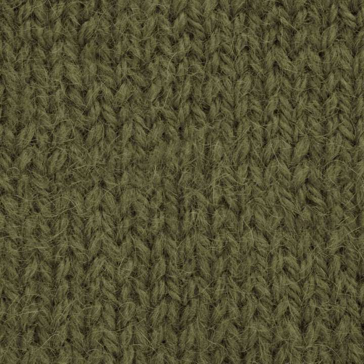 West Yorkshire Spinners 1230 moss West Yorkshire Spinners Fable Brushed Aran Lieblingsgarn