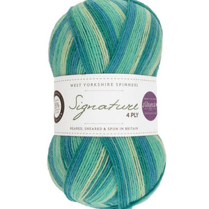 West Yorkshire Spinners Signature 4ply Winwick Mum