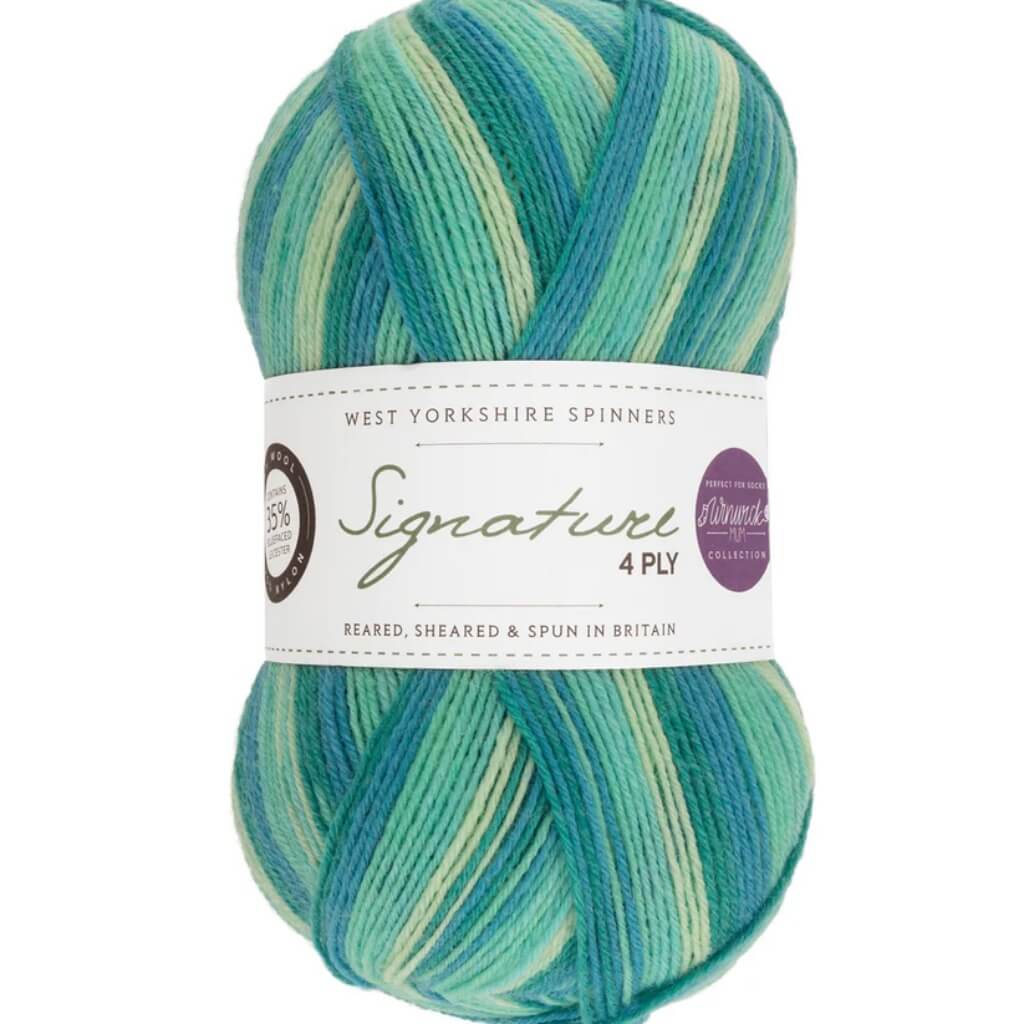 West Yorkshire Spinners Signature 4ply Winwick Mum