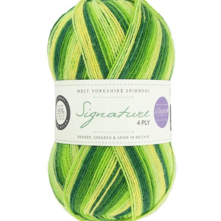 West Yorkshire Spinners Signature 4ply Winwick Mum