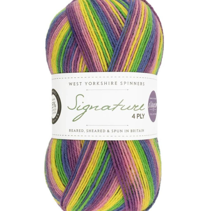 West Yorkshire Spinners Signature 4ply Winwick Mum