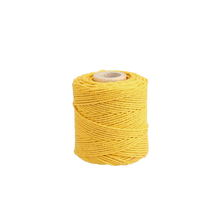Lieblingsgarn Filani Lieblingsgarn - Rainbow Set aus 10 x Premium Garn 1mm Lieblingsgarn