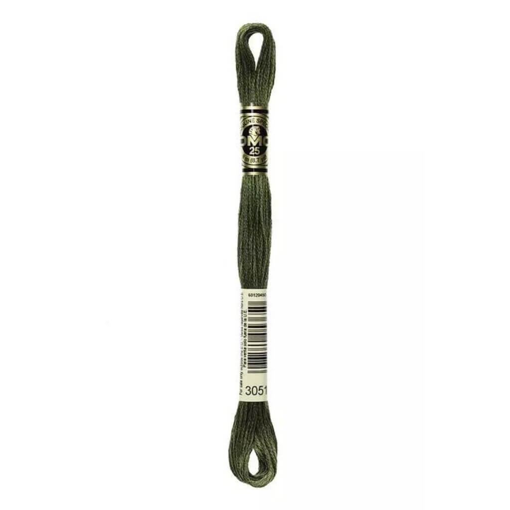 DMC 3051 - Grüner Wald DMC Mouliné Spécial Lieblingsgarn