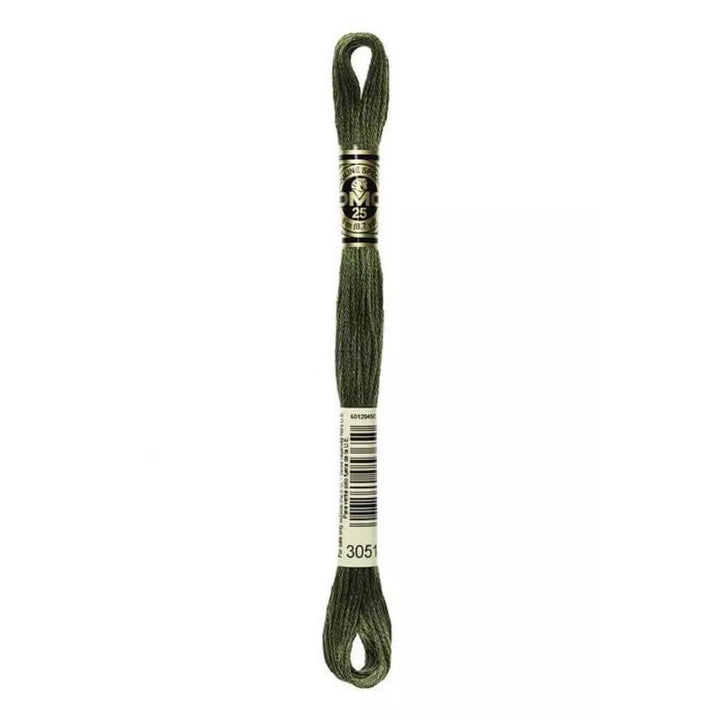 DMC 3051 - Grüner Wald DMC Mouliné Spécial Lieblingsgarn