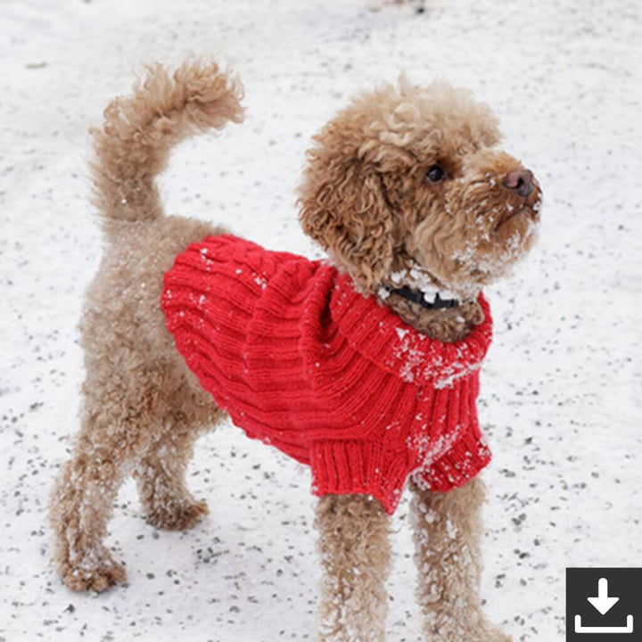 Drops Hundepullover Holiday Buddies Strickanleitung - Drops (PDF) Lieblingsgarn