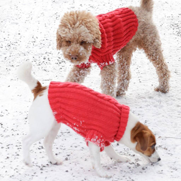 Drops Hundepullover Holiday Buddies Strickanleitung - Drops (PDF) Lieblingsgarn