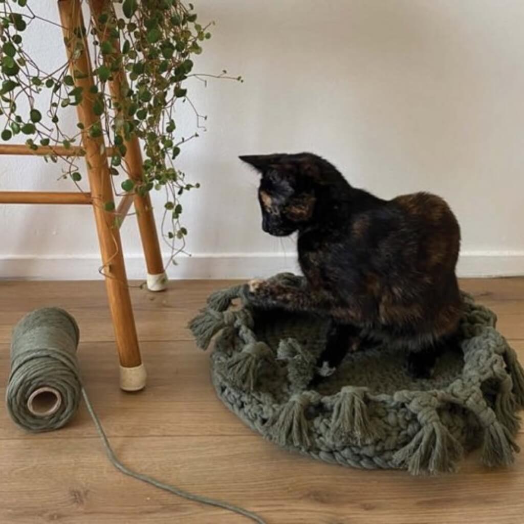 Durable Pattern Katzenkörbe Makramee Durable Rope (PDF) Lieblingsgarn