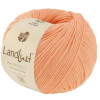 41 - Apricot
