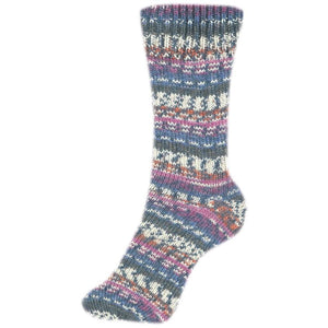 Schoeller + Stahl Fortissima Socka 4F Color