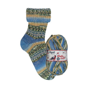 Opal 8F Xlarge Winterwald