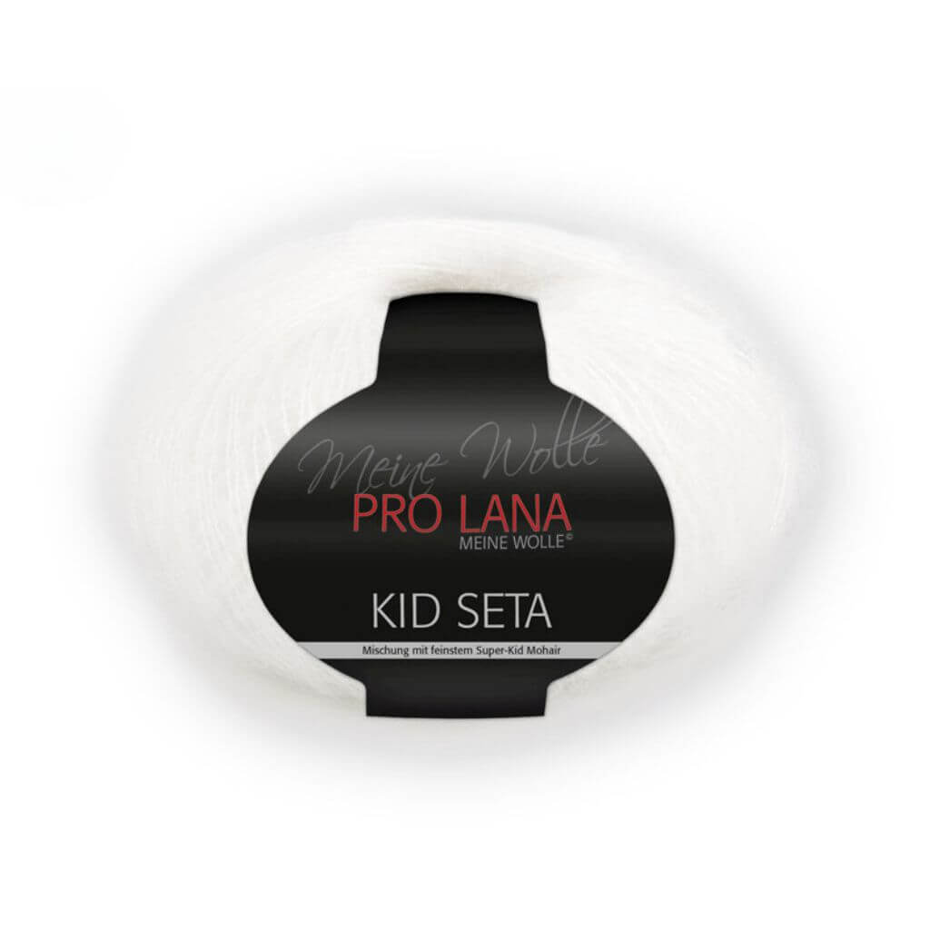 Pro Lana 1 Pro Lana Kid Seta 25g Lieblingsgarn
