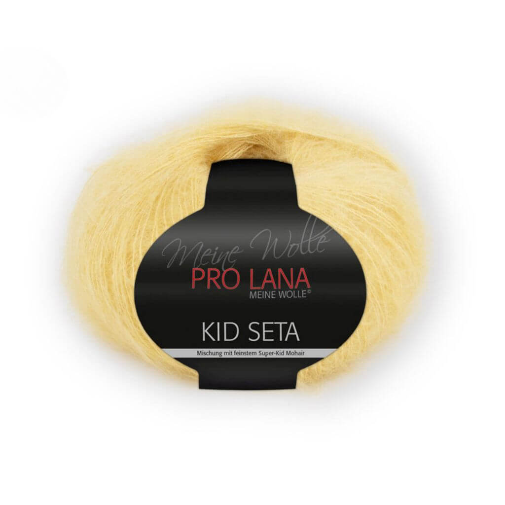 Pro Lana 22 Pro Lana Kid Seta 25g Lieblingsgarn
