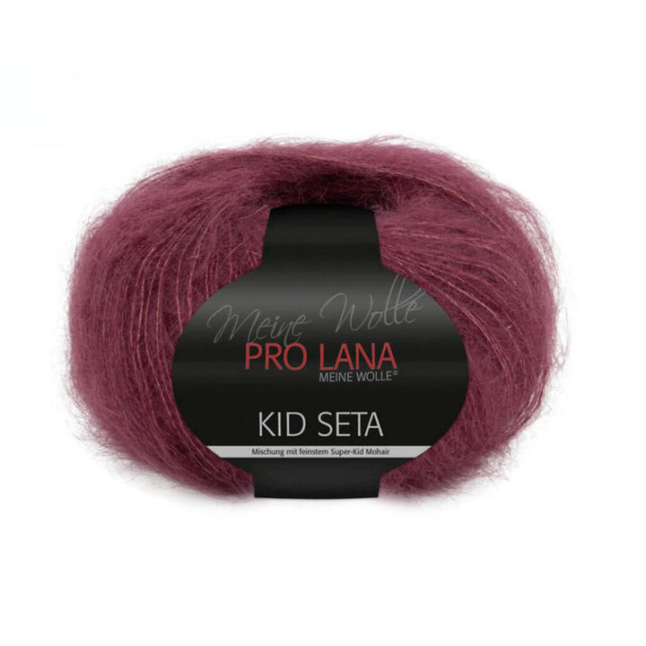 Pro Lana 38 Pro Lana Kid Seta 25g Lieblingsgarn