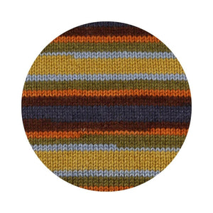 Schachenmayr Bravo Originals Color