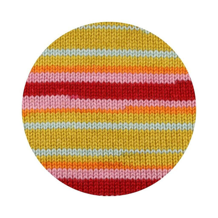 Schachenmayr 2147 - Kaida Color Schachenmayr Bravo Originals Color Lieblingsgarn
