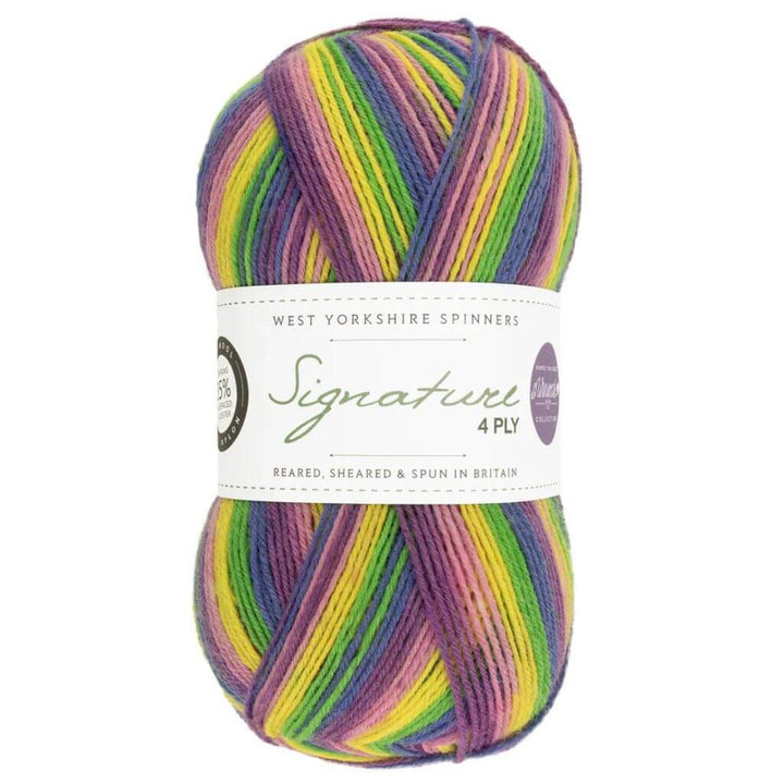 West Yorkshire Spinners West Yorkshire Spinners Signature 4ply Winwick Mum Lieblingsgarn