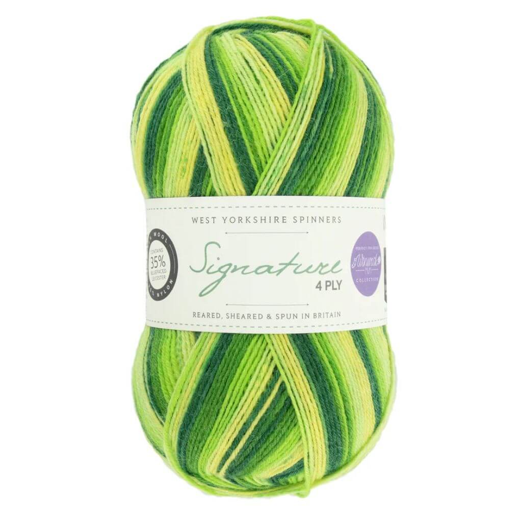 West Yorkshire Spinners West Yorkshire Spinners Signature 4ply Winwick Mum Lieblingsgarn