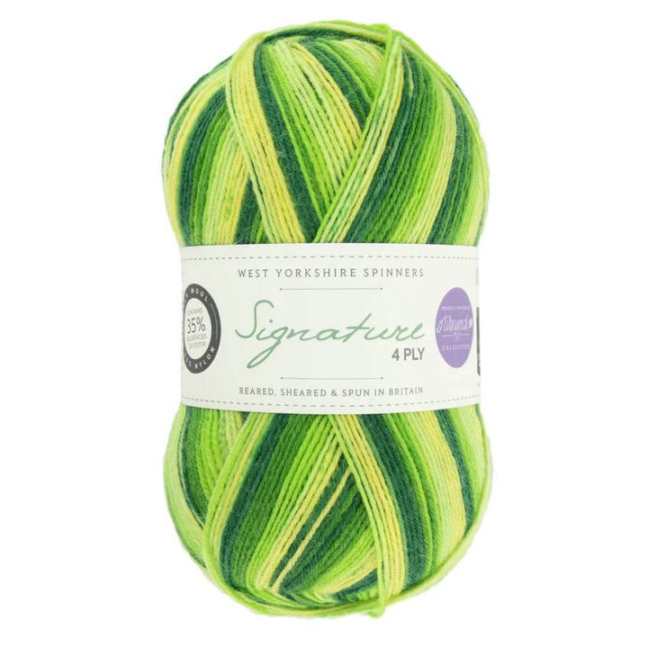 West Yorkshire Spinners West Yorkshire Spinners Signature 4ply Winwick Mum Lieblingsgarn