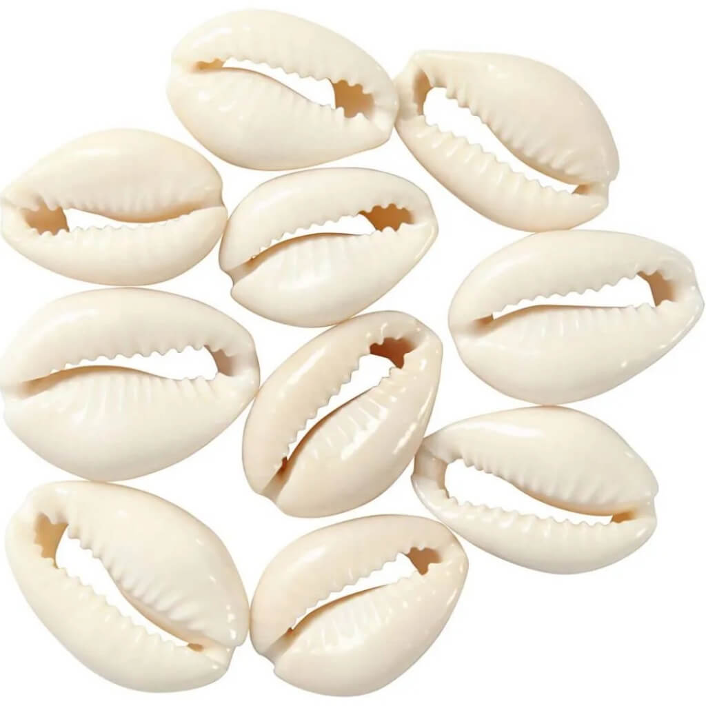 12 Stk. Muschelperlen Lieblingsgarn