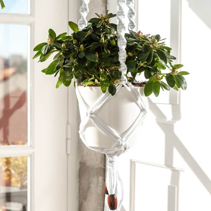 Hoooked Macramé-Set Blumenampel aus Zpagetti in Cotton White Lieblingsgarn