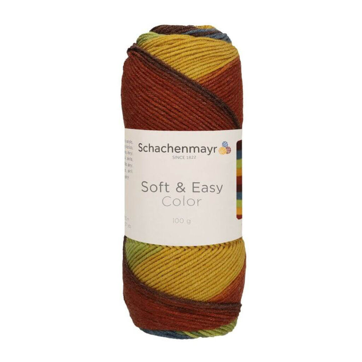 Schachenmayr Soft &amp; Easy Color Earth Color Lieblingsgarn